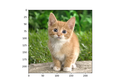 Compile MXNet Models